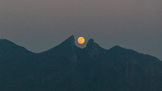 "LA PÍLDORA Y LA SILLA DE CERCA"