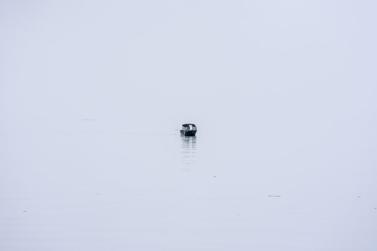 "PAZ Y PESCA"