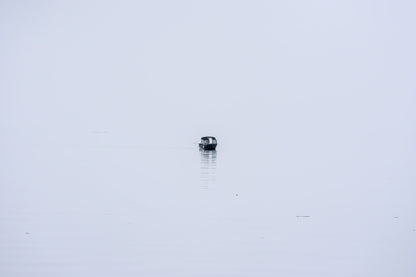 "PAZ Y PESCA"