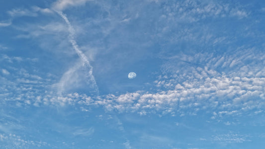 "COMO CUALQUIER OTRO DÍA"